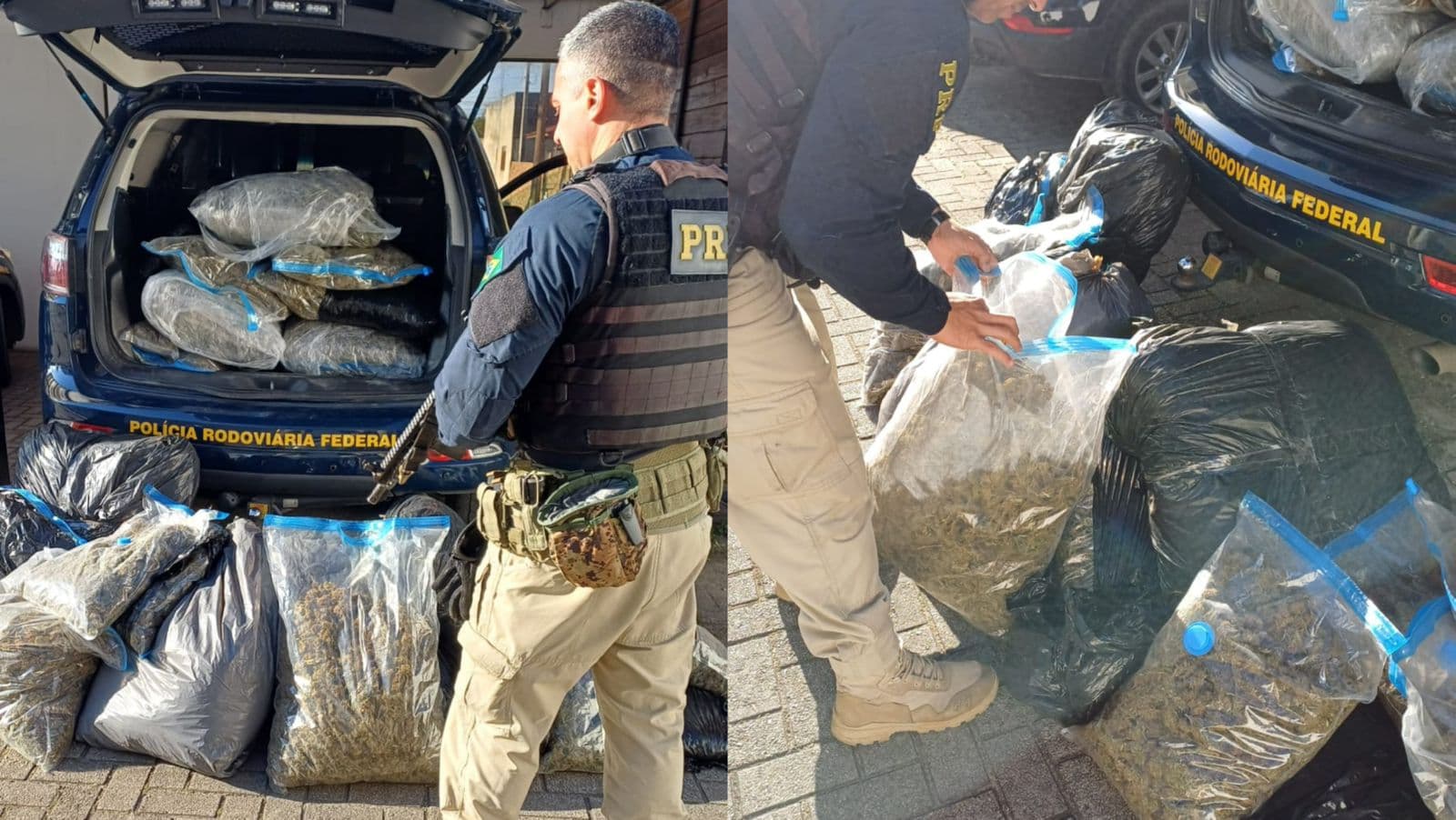 PRF flagra 86 kg de skunk em caminhonete na BR-101 em SC