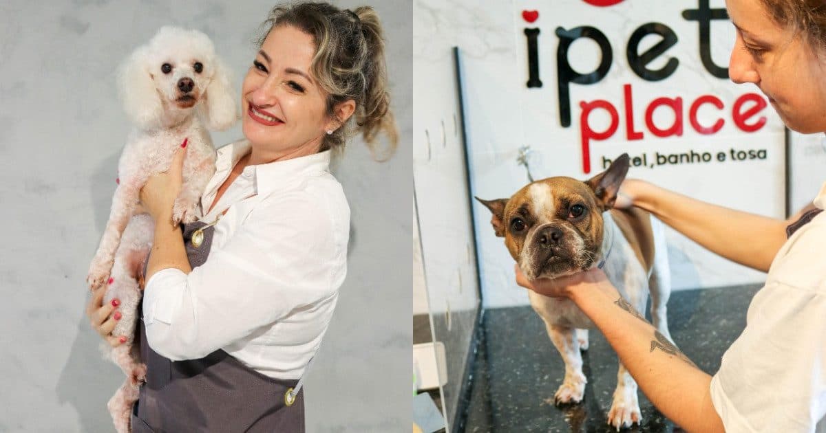 Florianópolis ganha creche para pets com recreação e transmissão ao vivo para os “pais de pet”