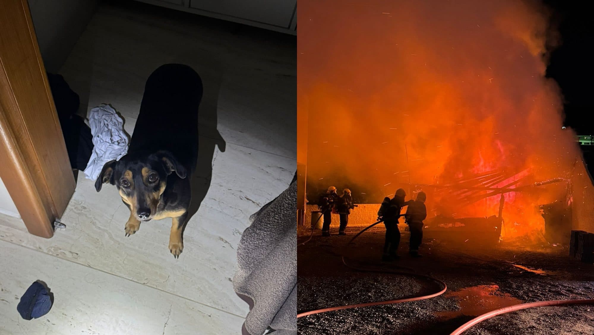 Policiais arriscam a vida para salvar família de incêndio em Florianópolis: “heróis”