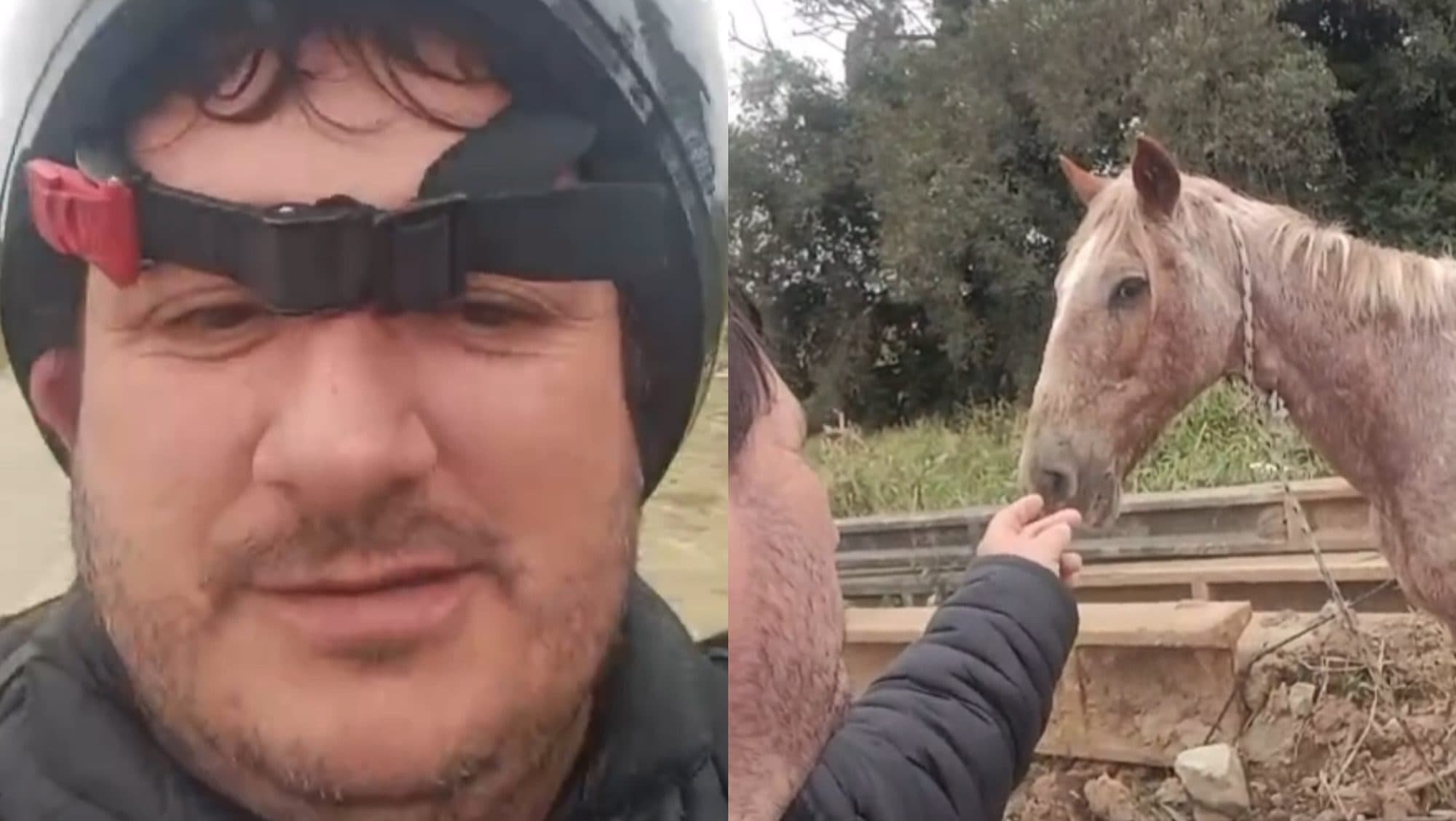 “Só se eu entregar pro cavalo”: motoboy tem surpresa em delivery de frango em SC