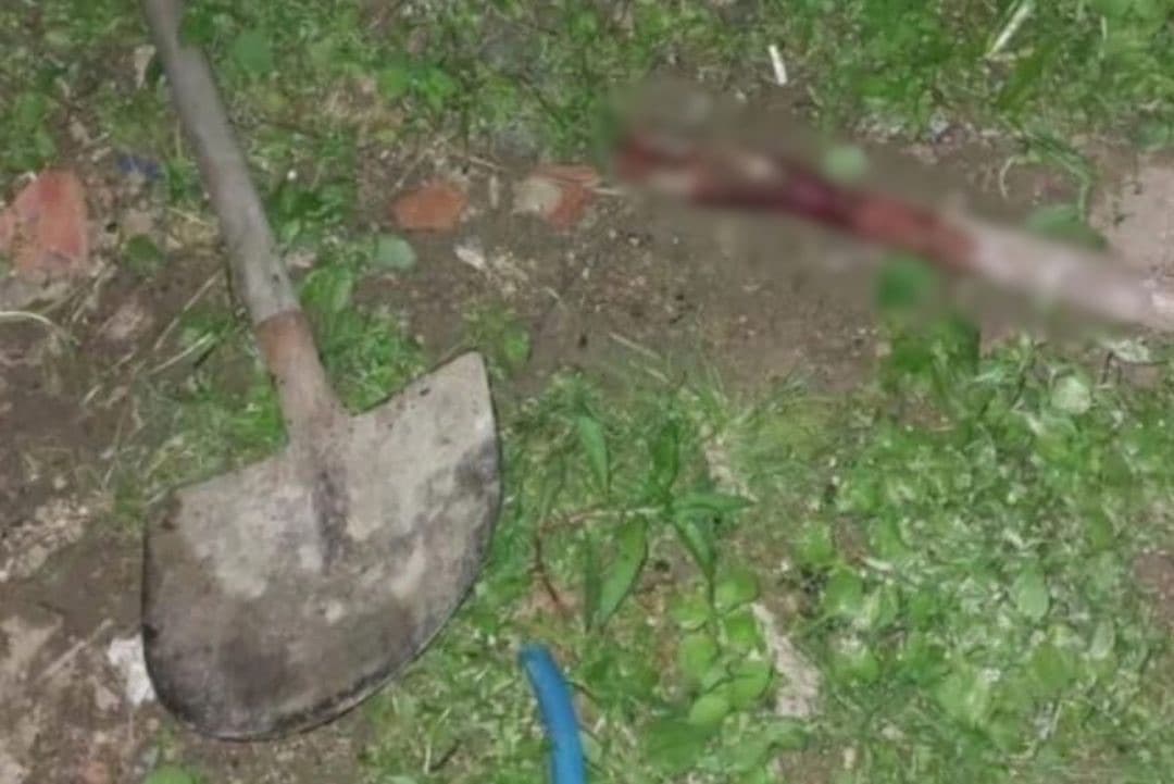 “Nunca mais bate em mulher”: homem invade casa da ex em SC e é morto com pauladas na cabeça