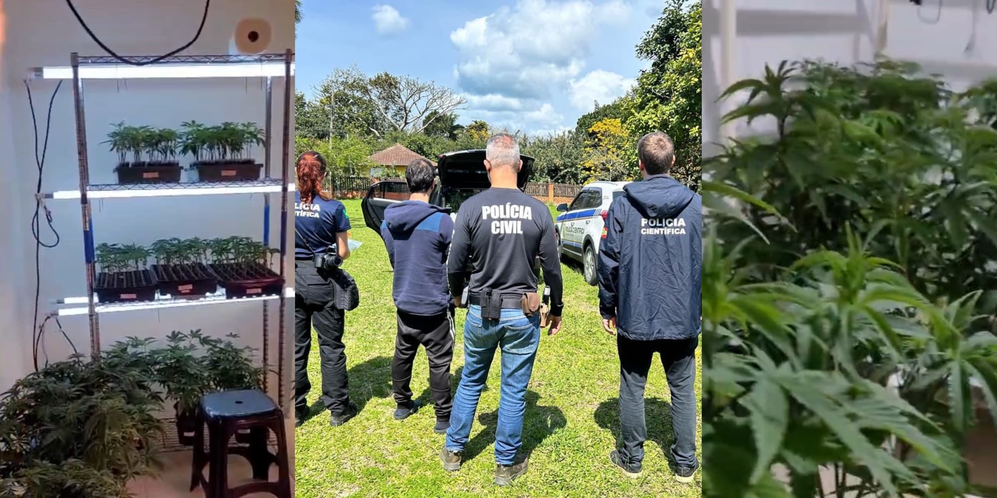 Casa se transforma em “laboratório do crime” mas é estourada pela PCSC na Grande Florianópolis
