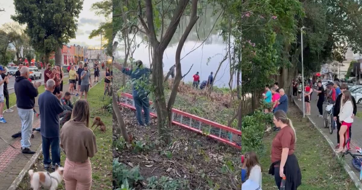 Moradores ouvem latidos de desespero e ajudam bombeiros a salvar cãozinho em rio de SC