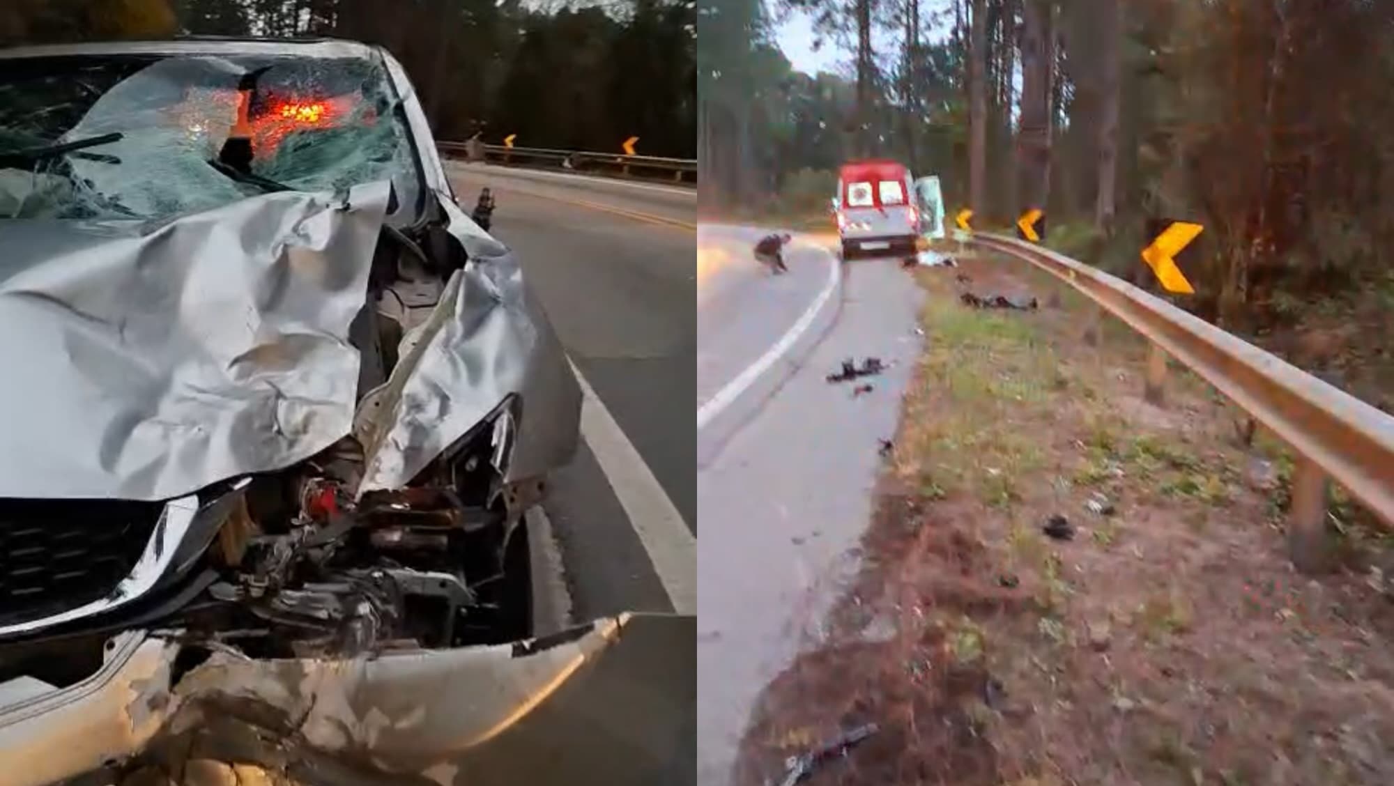 Motociclista morre após colisão frontal na BR-282 em Águas Mornas