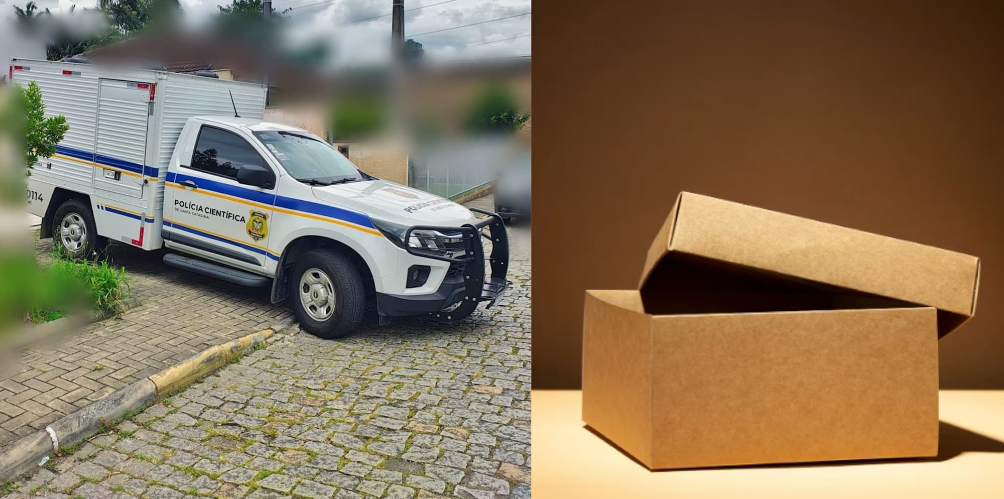 Mãe ajuda menina de 14 anos a abortar em SC, põe feto em caixa de sapatos e manda pai “se livrar”