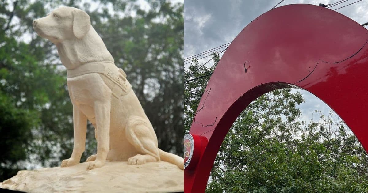 Três dias após emocionante inauguração, monumento de cão em SC tem letreiro removido por motivo inusitado