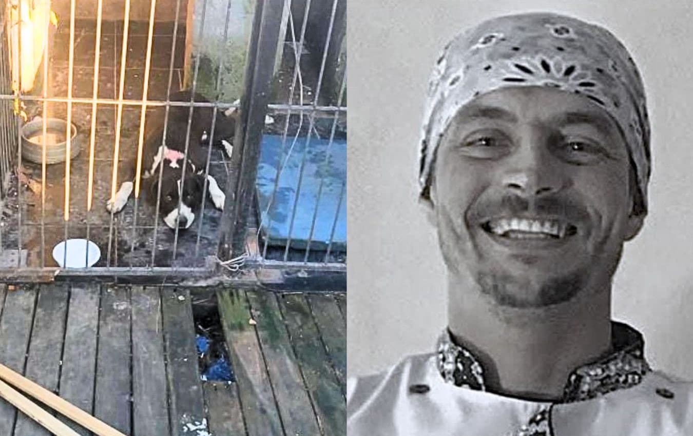 Caso do “cachorro herói” em Florianópolis tem reviravolta: homem foi morto a facadas, diz laudo