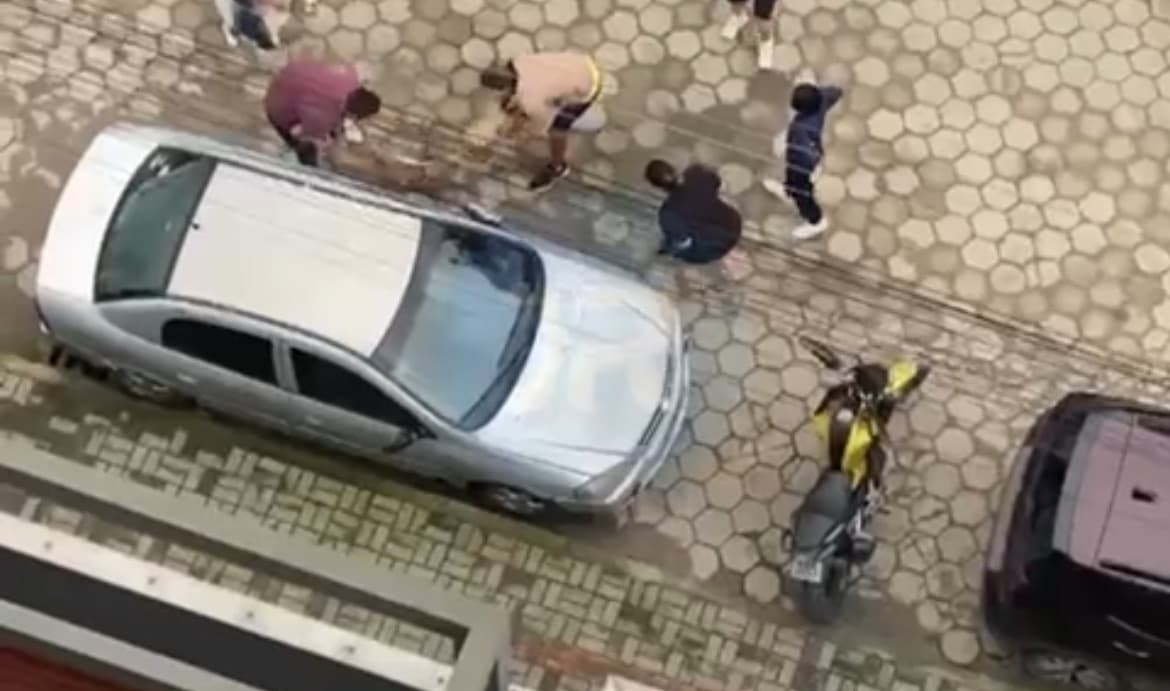 “Tutores irresponsáveis”: pitbulls soltos atacam cachorrinha em Porto Belo e caso revolta moradores