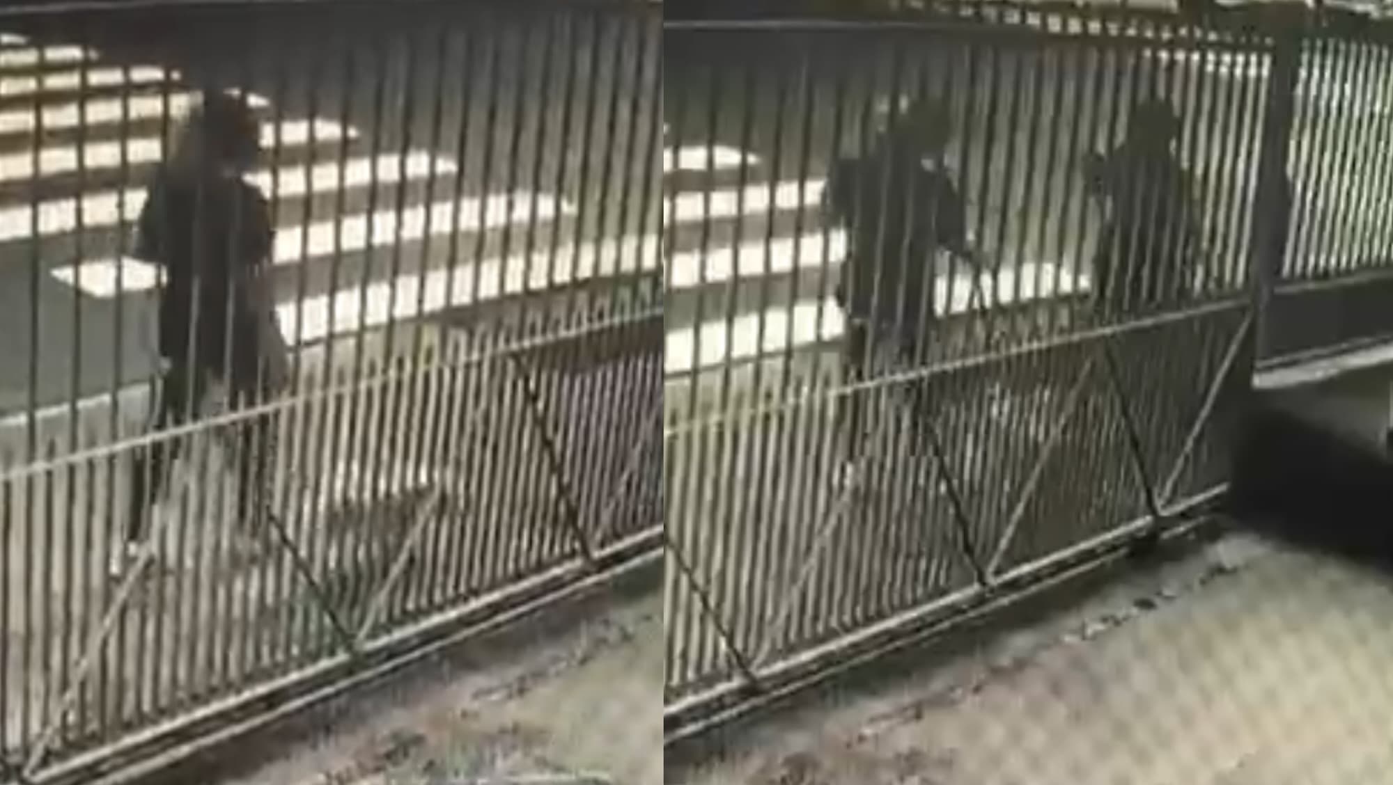 Morador de rua ataca mulher que passeava com cachorro na Grande Florianópolis
