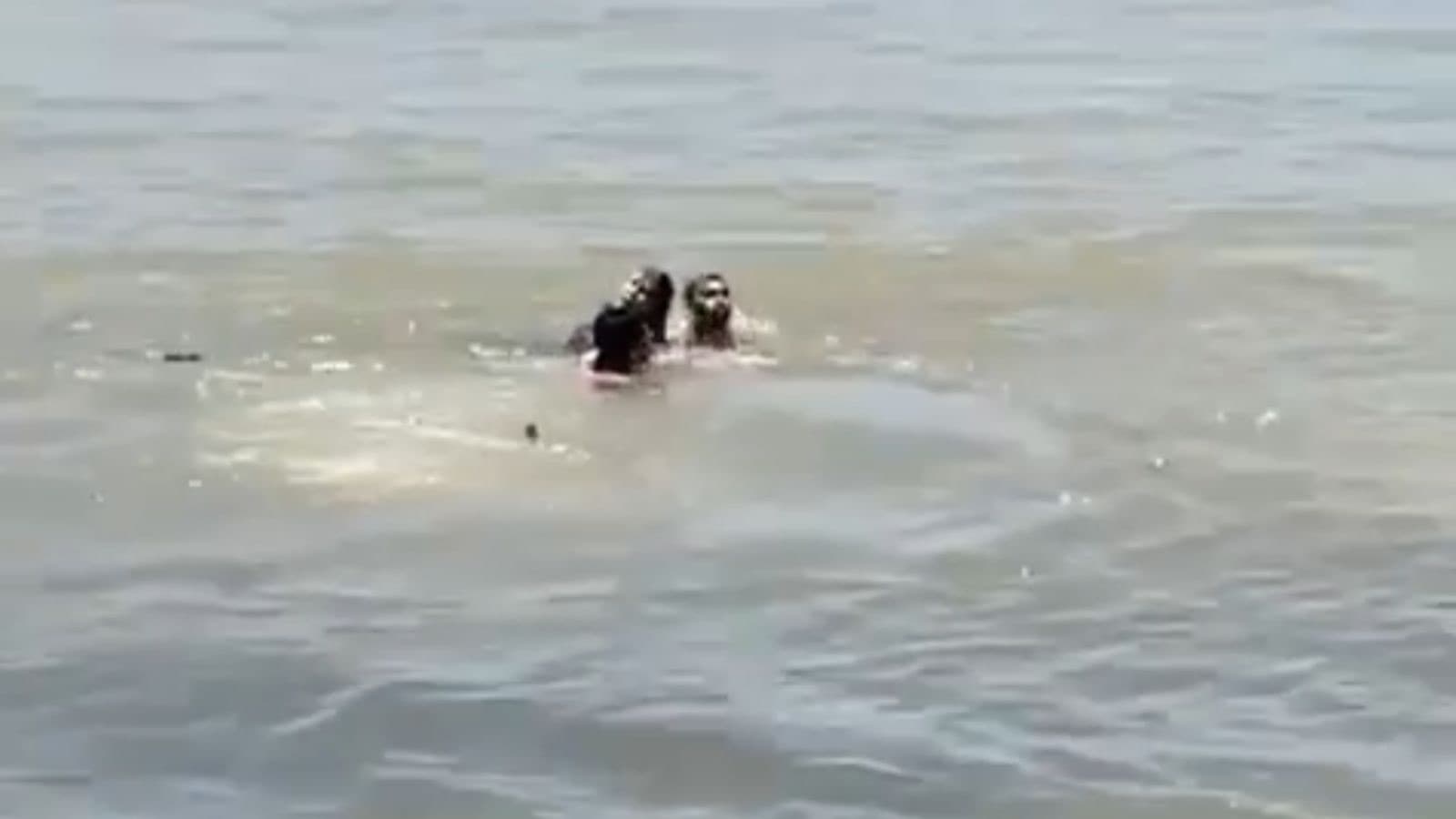 Imagens mostram ato heroico de populares que pularam no rio para salvar condutora de veículo em Itajaí