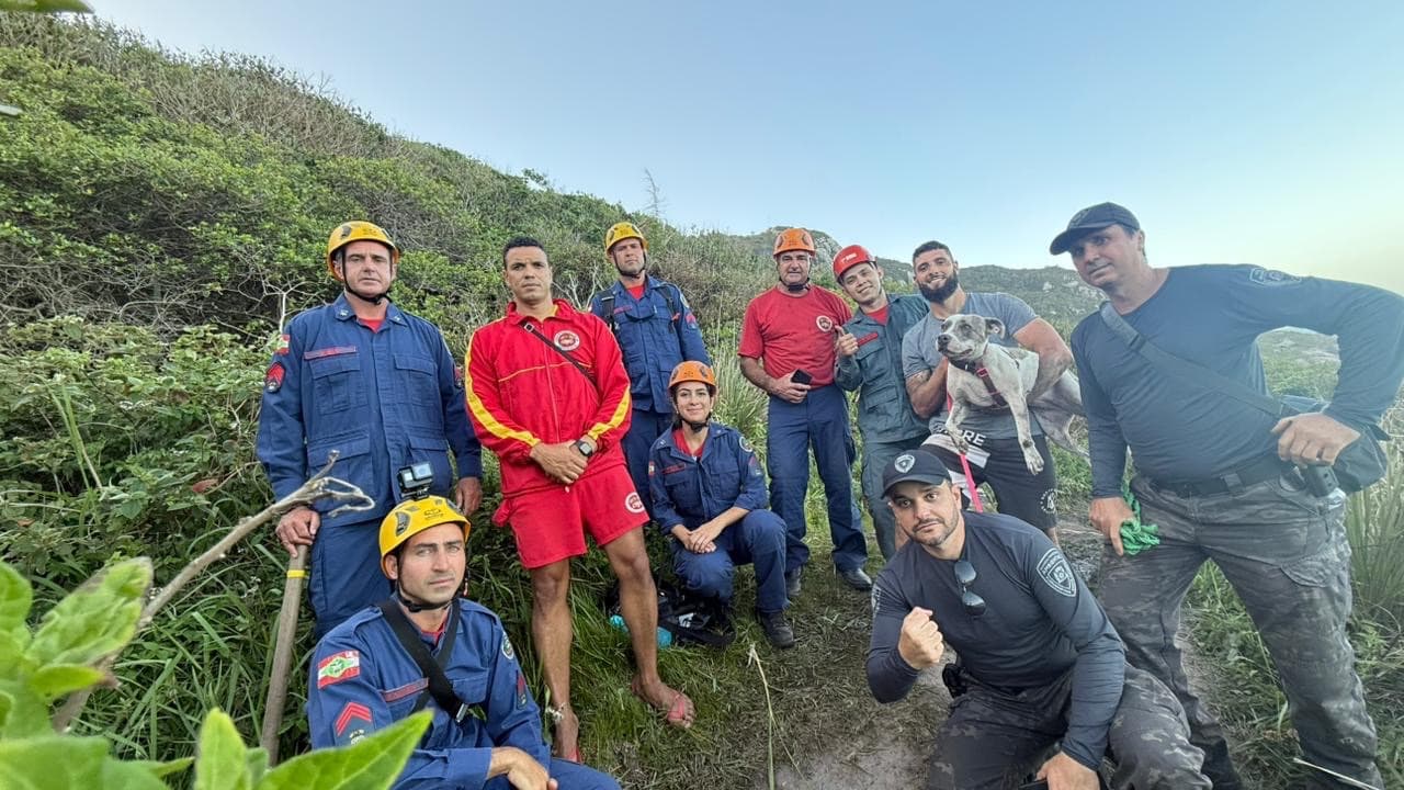 Cão é resgatado de fenda após horas de operação em Florianópolis