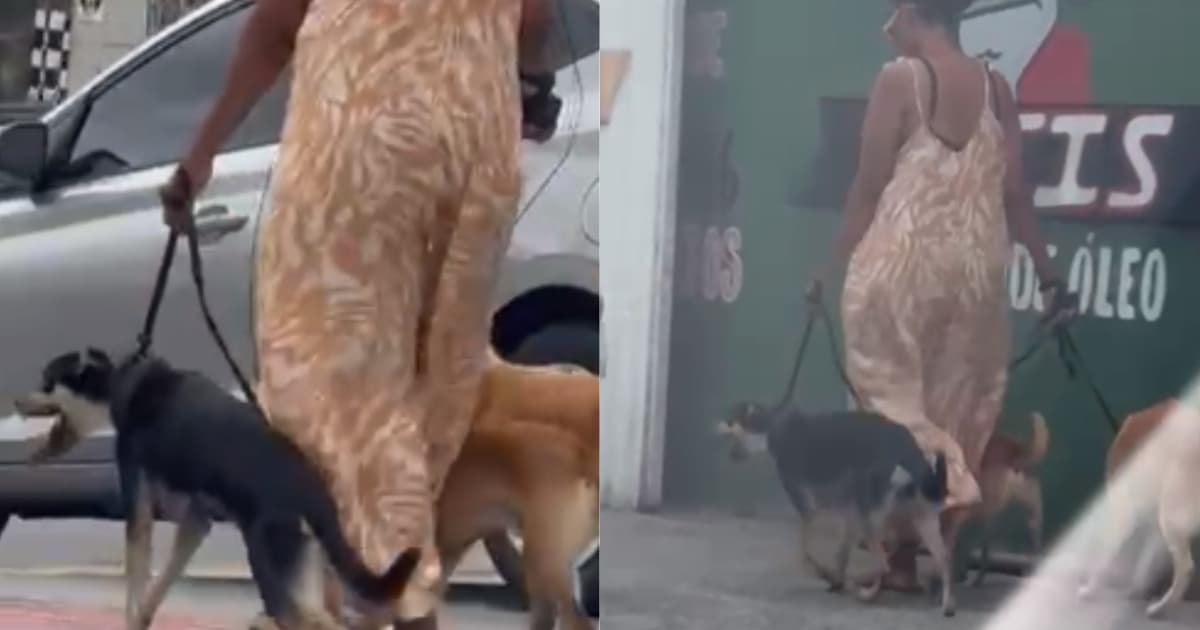 Mulher é flagrada quase “enforcando” cãozinho com corda na Grande Florianópolis