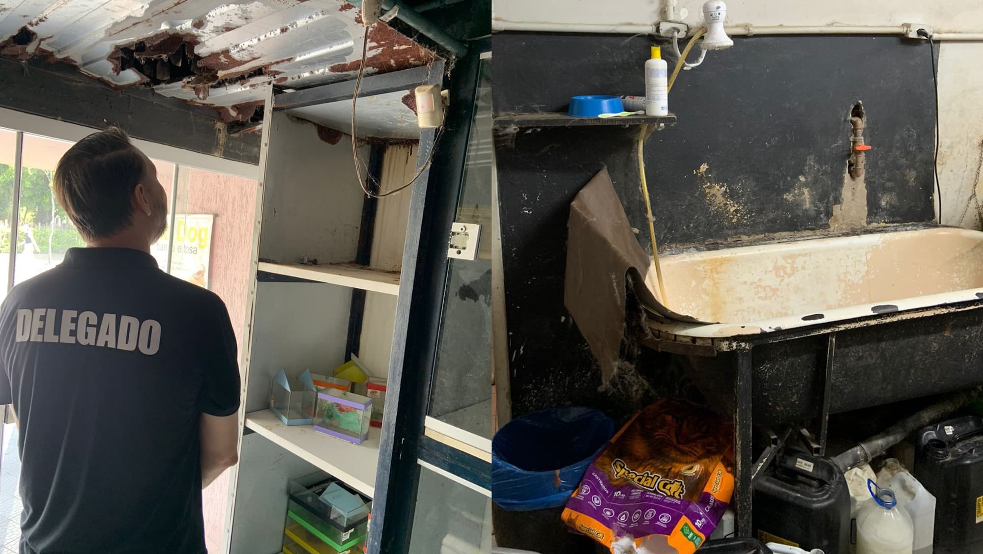 “Petshop dos horrores” é fechado em operação da PCSC em Brusque