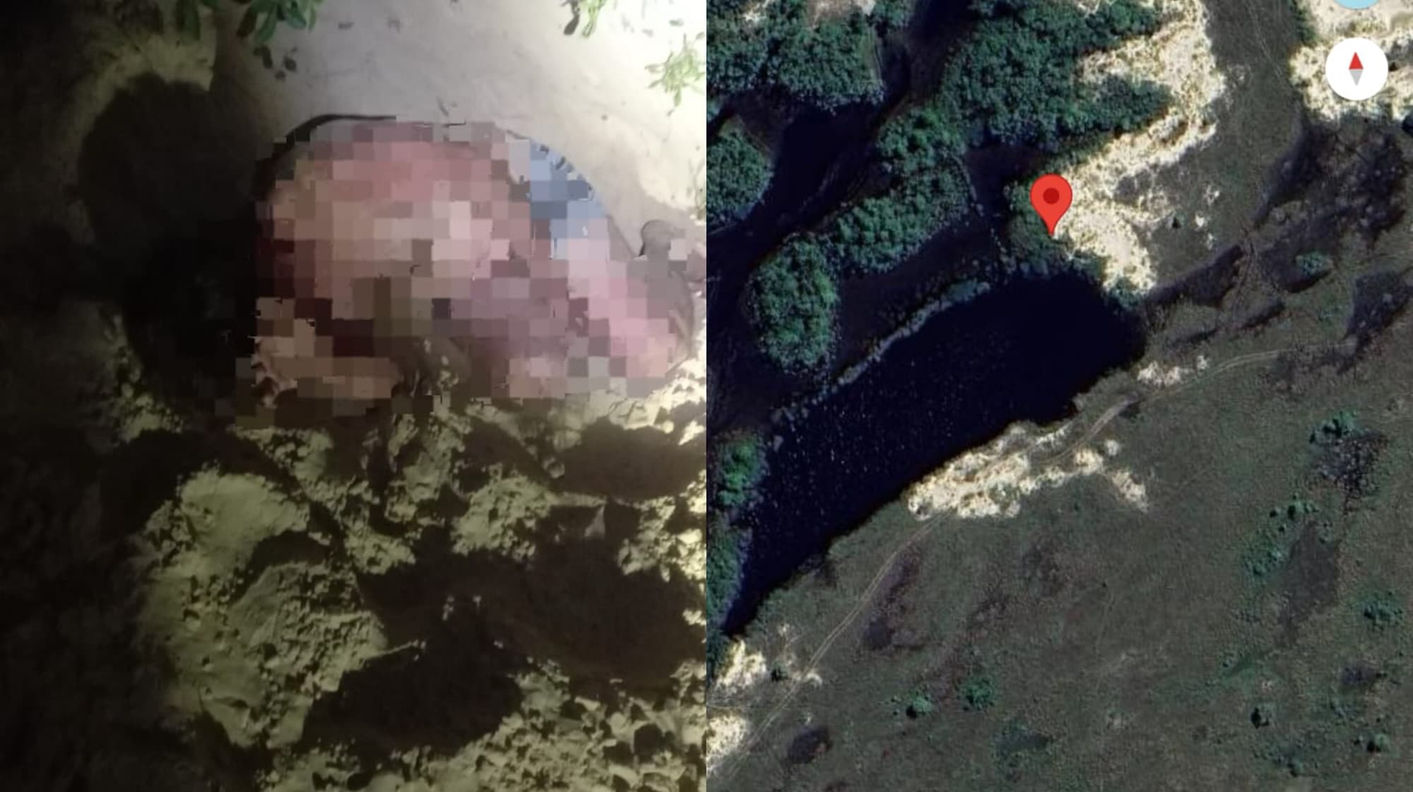 Homem sai para pescar, desaparece na mata e é achado semi-nu 