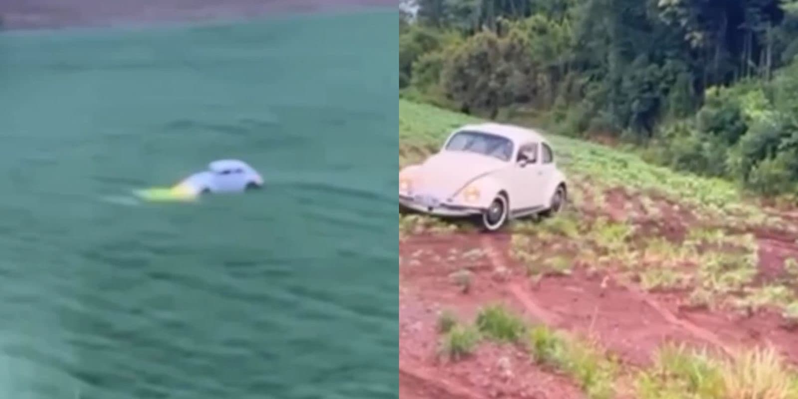 Jovens invadem propriedades, destroem plantios e zombam do prejuízo em SC