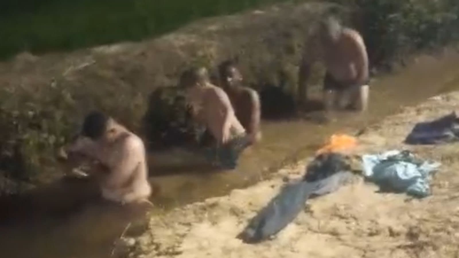 Sem água em casa, família de Camboriú toma banho em arrozal no Litoral de SC: “higiênico”