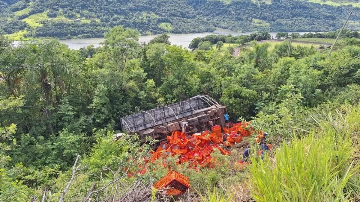 Caminhoneiro sofre mal súbito e carga de frango é saqueada após acidente SC-480