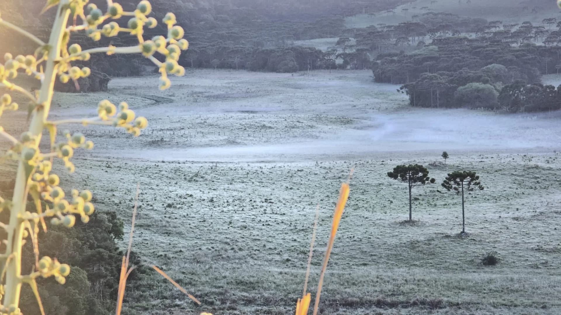 Frio fora de época provoca geada e surpreende moradores da Serra Catarinense