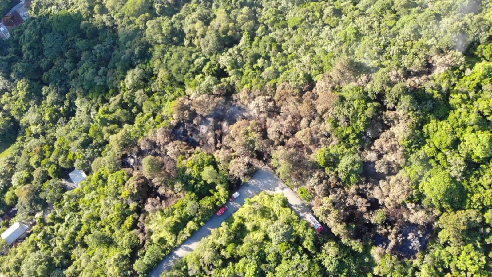 Incêndio florestal atinge área de Mata Atlântica na Interpraias, em Balneário Camboriú