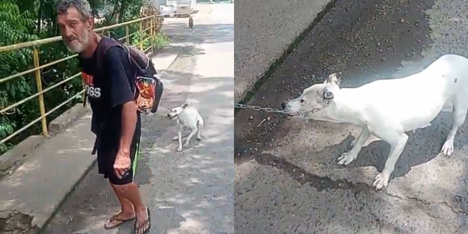 “Vou contar até 3”: motociclista surge no lugar e hora certa e impede possível morte de cãozinho em SC