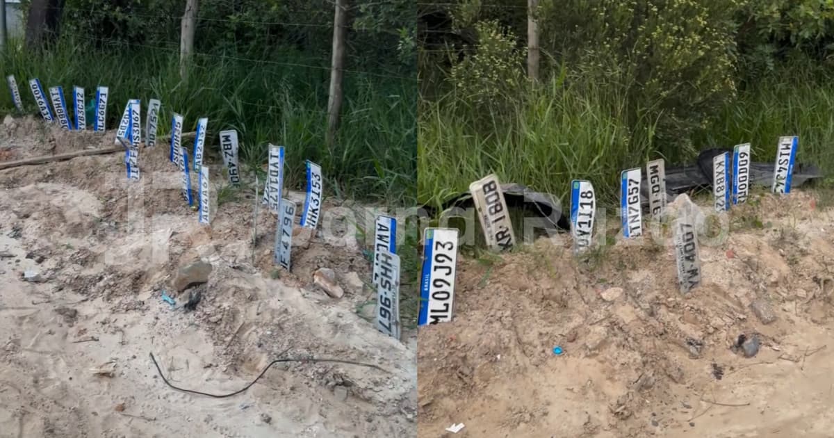 “Um cemitério de placas”: moradores procuram por donos de placas perdidas em estrada na Grande Florianópolis