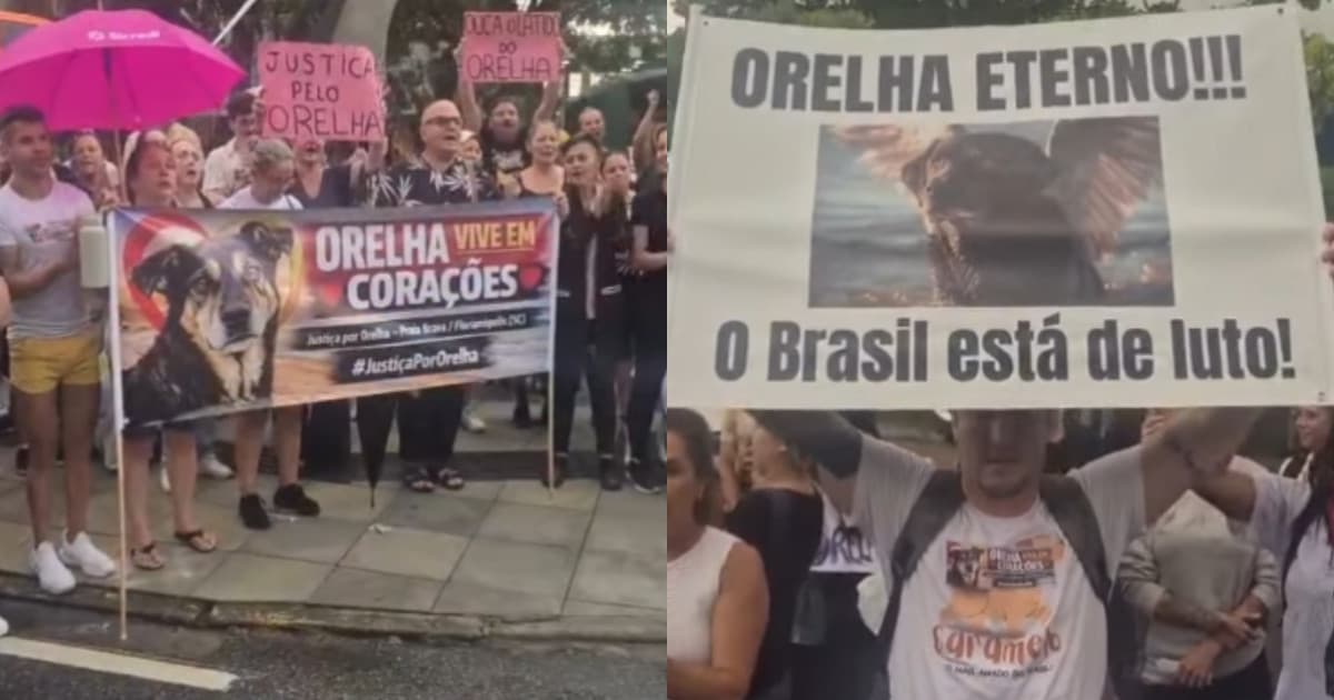 Protesto por cão Orelha em frente ao TJSC cobra resposta da justiça em Florianópolis