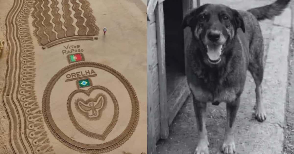 “Rompeu barreiras”: artista faz homenagem ao cão Orelha em famosa praia de Portugal