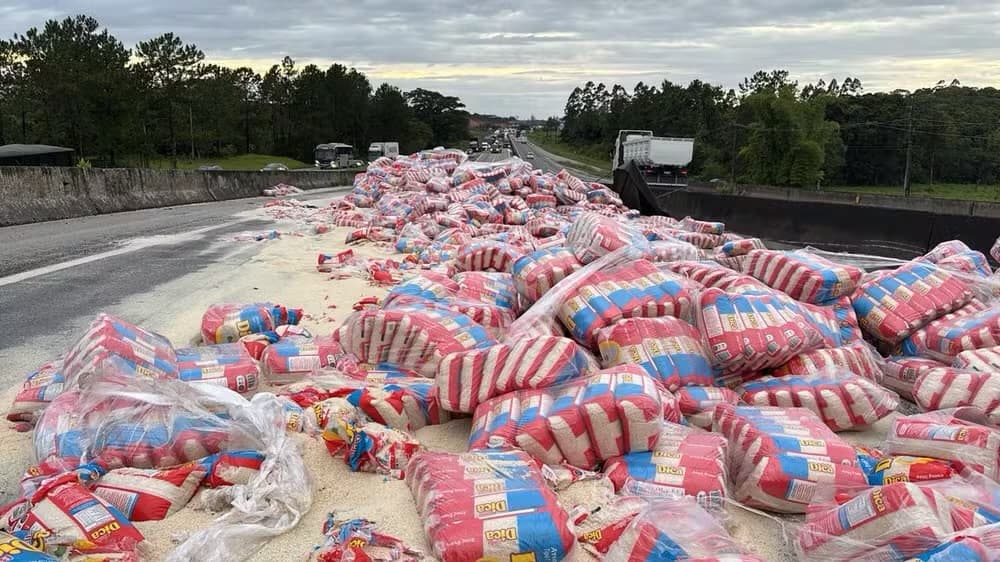Carga de arroz tomba na BR-101 e trava rodovia por horas em Araquari