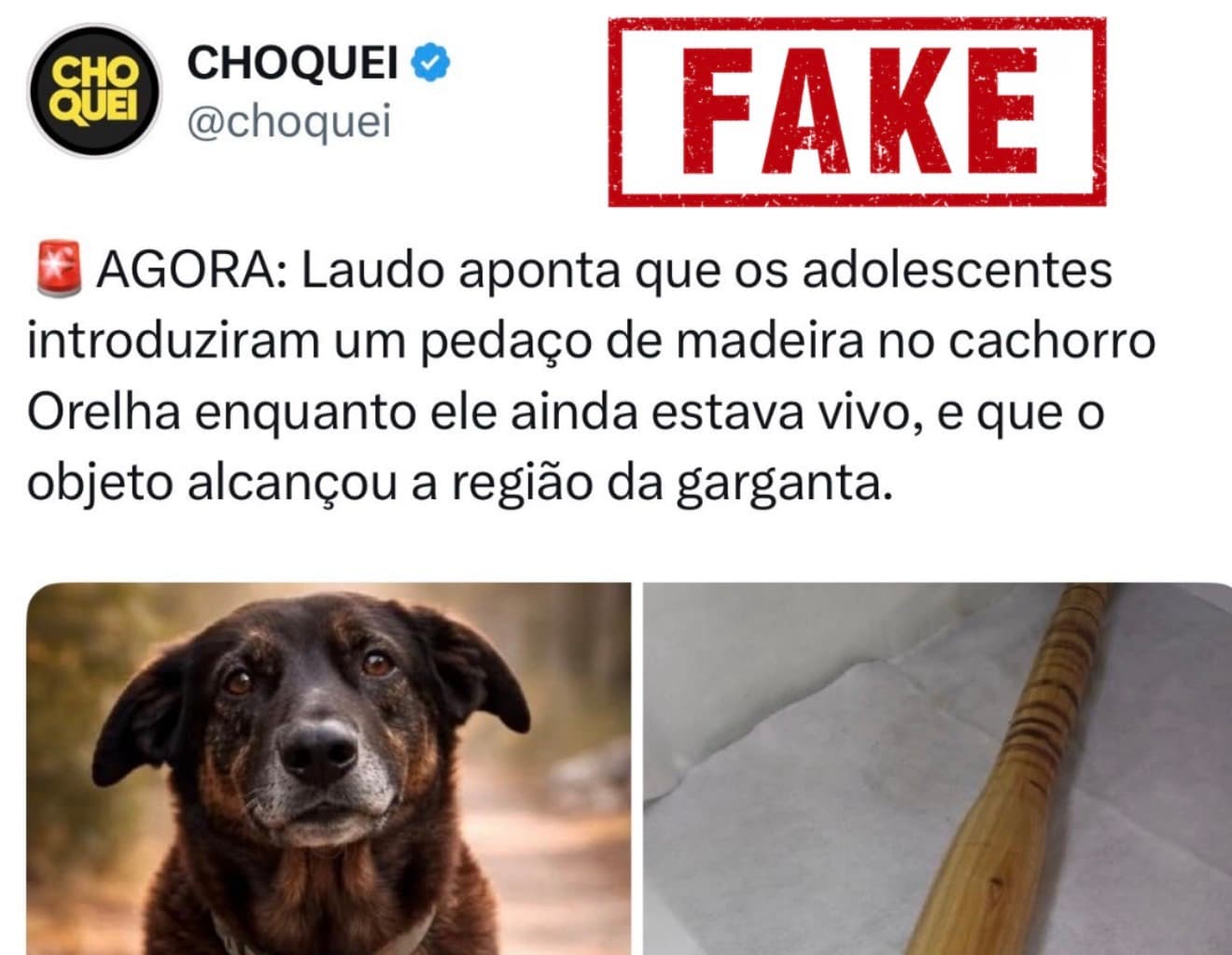Empalado vivo? Polícia Civil desmente fake news sobre morte do Orelha; veja laudo