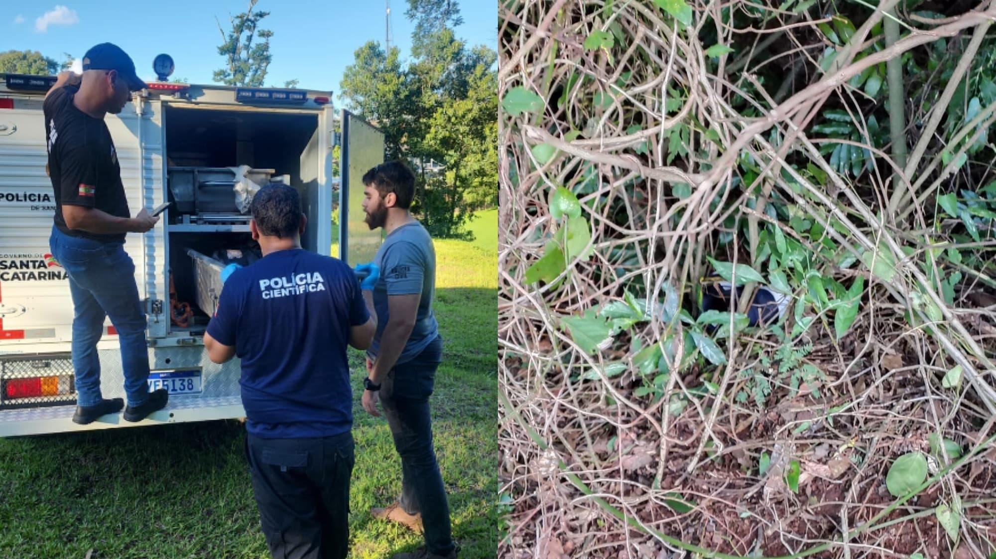 Adolescente de 15 anos desaparecido é encontrado morto em área de mata em SC