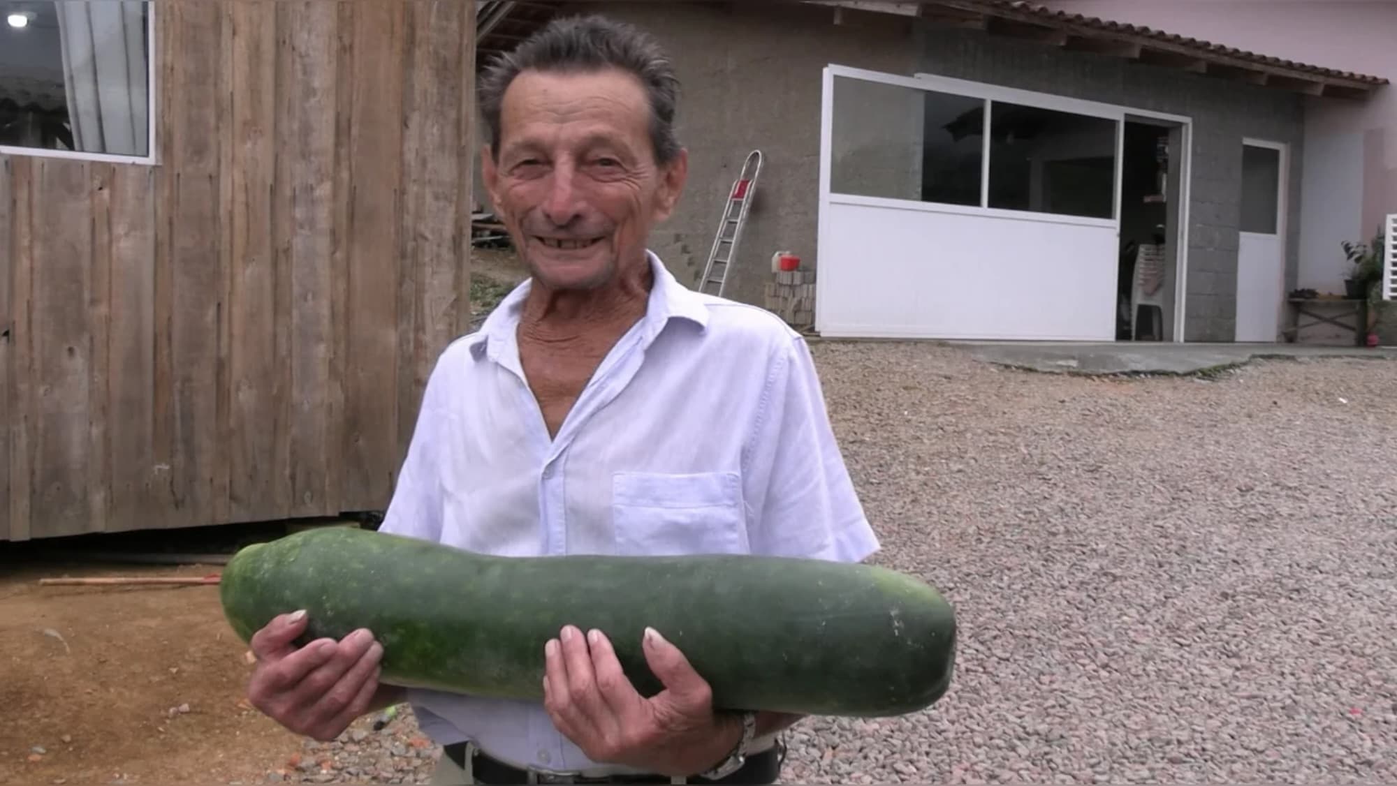 Agricultor de 85 anos colhe pepino gigante de 7 kg em SC