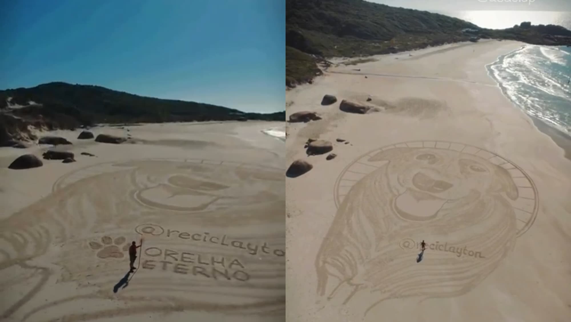 Artista homenageia Orelha nas areias de praia em Florianópolis