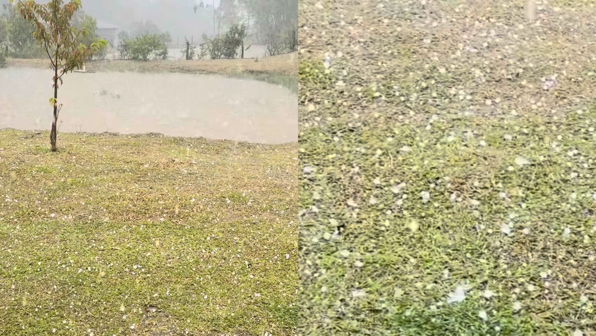 Temporal com granizo deixa rastro de destruição em propriedades rurais em SC