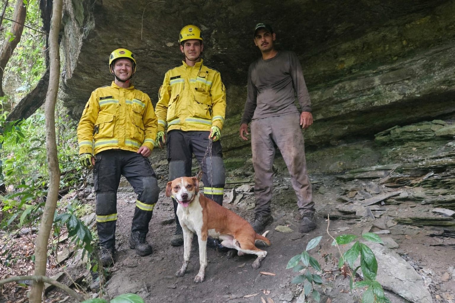 Final feliz pro “auau”: bombeiros resgatam cachorro após queda em ribanceira em SC