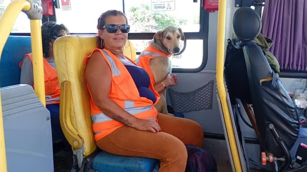 Cão embarca com bolsistas e conquista equipes de limpeza urbana em Laguna