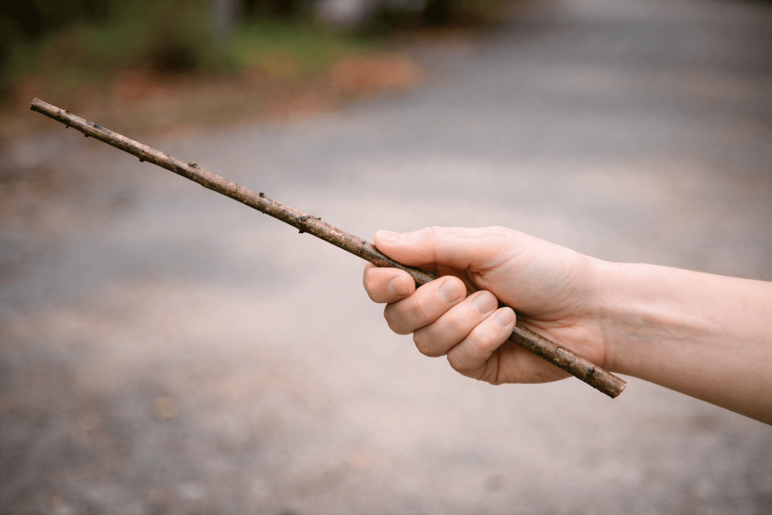 Mãe é presa após espancar filho de 8 anos com galho de árvore em SC