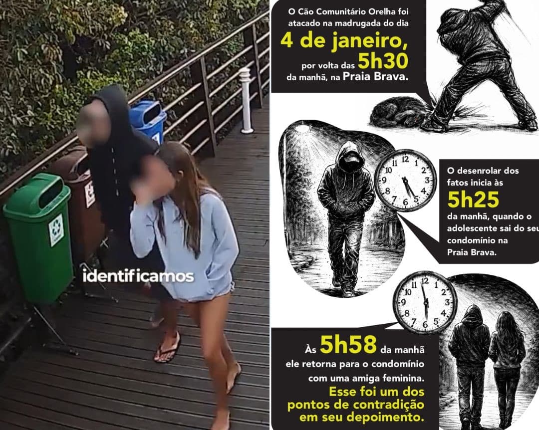 Caso Orelha: Polícia Civil de SC revela como foi o crime e pede internação de adolescente