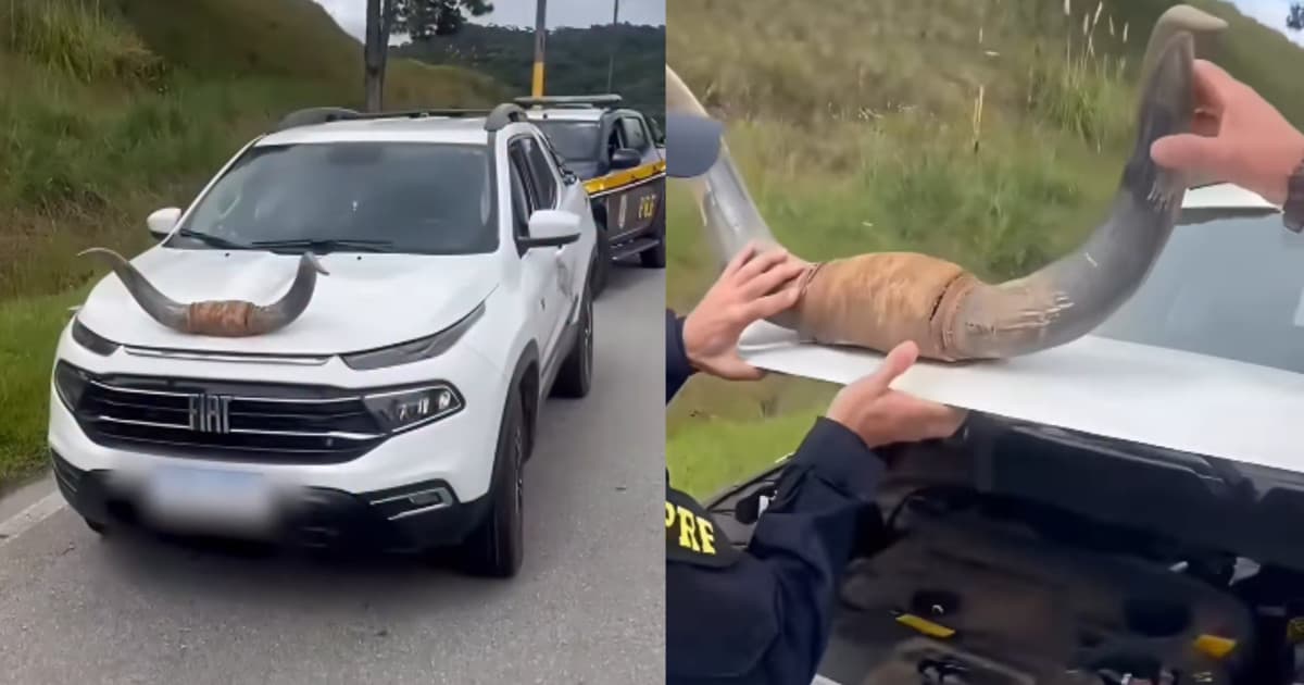 “Chifrudo com orgulho”: carro inusitado é flagrado pela PRF em rodovia de Santa Catarina
