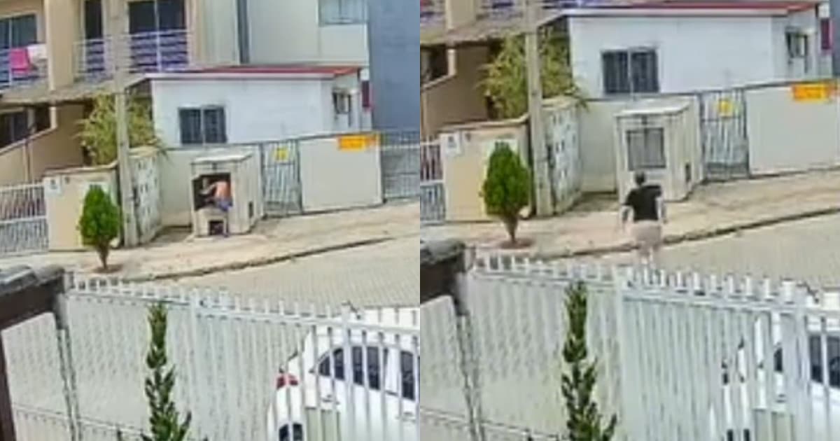 “Infância raiz”: crianças ficam presas dentro de lixeira em Brusque