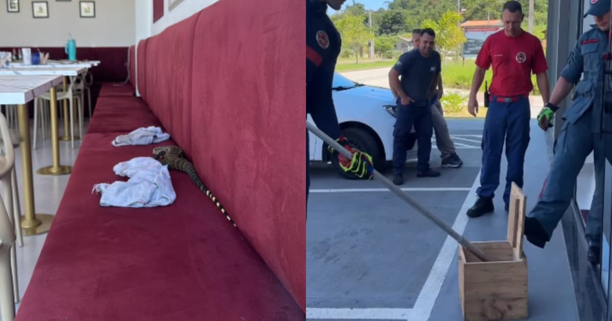 Cliente inusitado aparece em cafeteria na Grande Florianópolis e “exige” a presença dos bombeiros