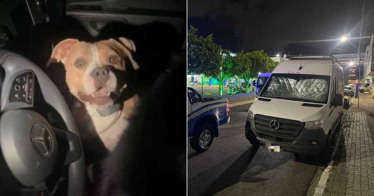 Motorhome com dois cães trancados é removido durante fiscalização em Balneário Camboriú