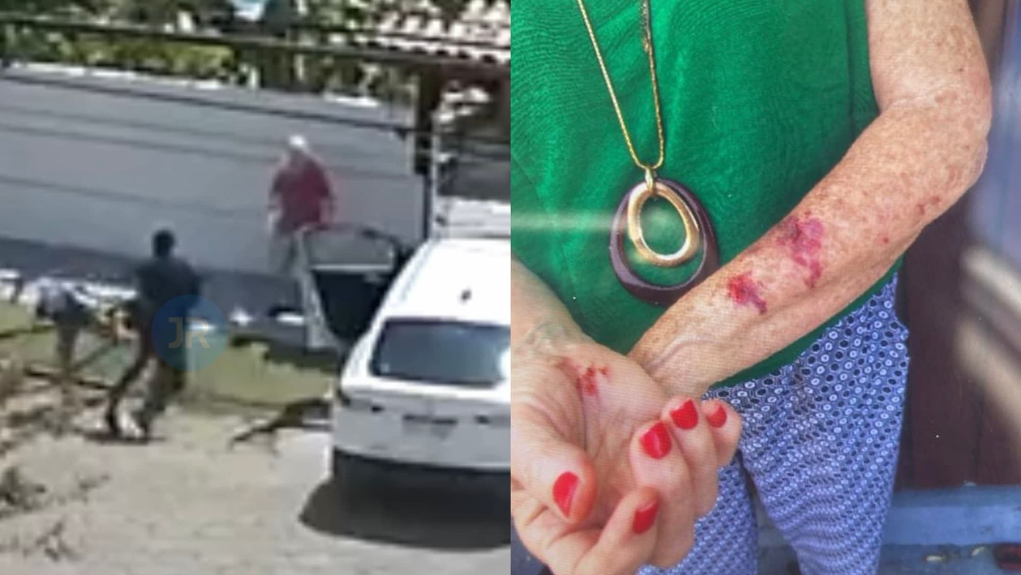 “Extremamente violento”: criminoso ataca casal de idosos em Florianópolis para roubar carro