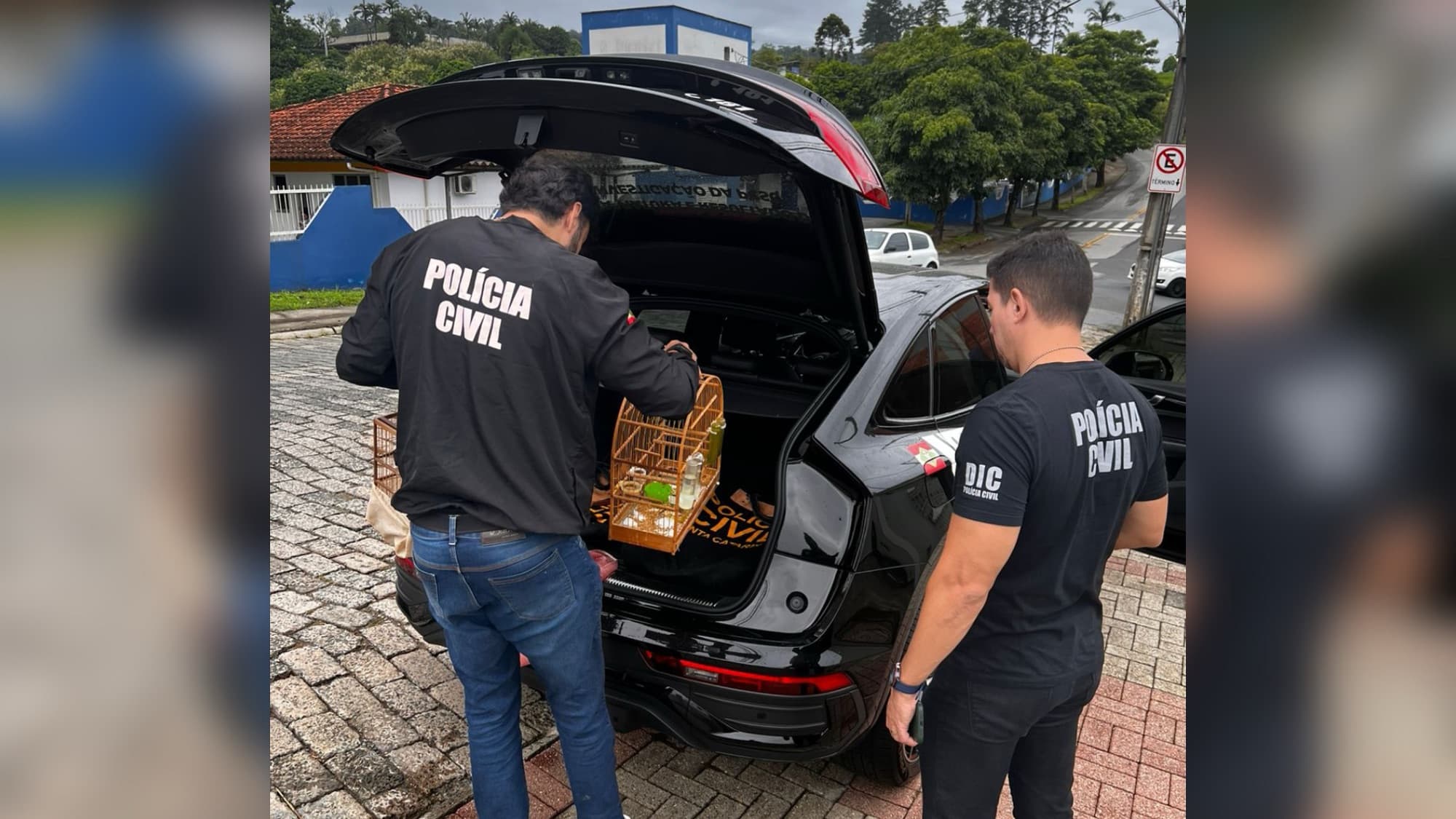 Operação mira suspeito de extorquir fornecedores com falsa consultoria em SC