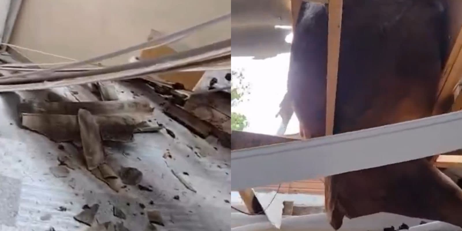 “Se contar, ninguém acredita”: morador estava vendo TV quando um boi caiu no telhado de casa em SC