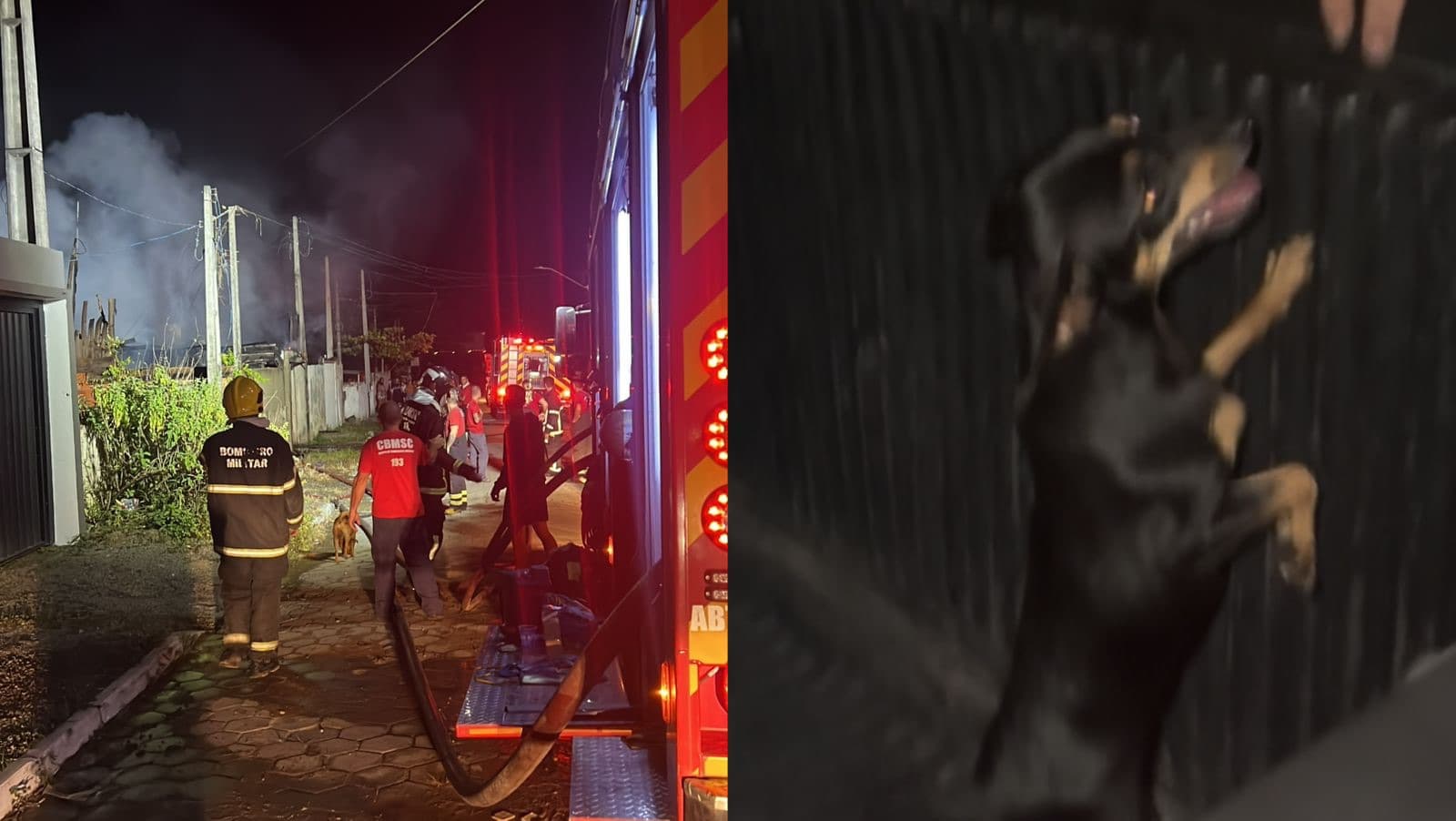 Fogo destrói casas e mobiliza resgate de 14 crianças e um cãozinho em SC
