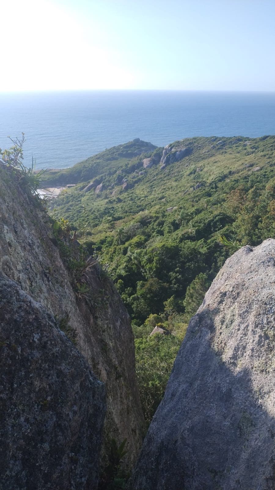 Queda de 20 metros em trilha termina com resgate dramático de helicóptero em Florianópolis