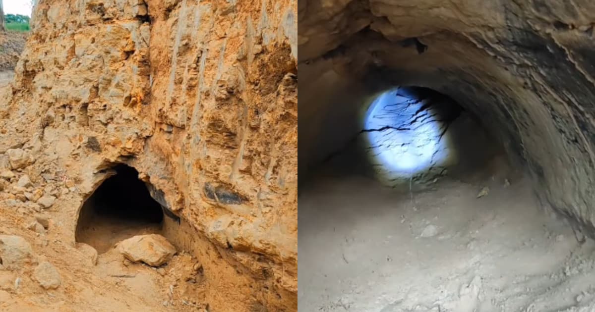 “Tamo rico, achamos o ouro”: moradora descobre túnel misterioso durante escavação em SC