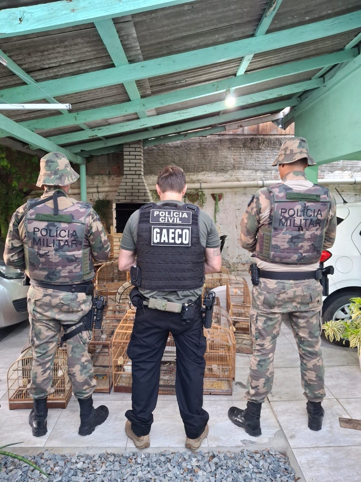 Joinville e Balneário Camboriú estão entre cidades alvo de operação contra organização criminosa