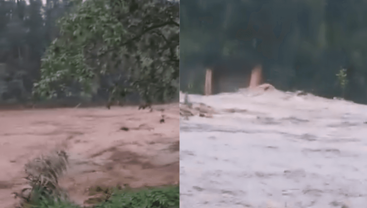 Rios sobem, pontes ficam submersas e comunidades entram em alerta no Sul de SC