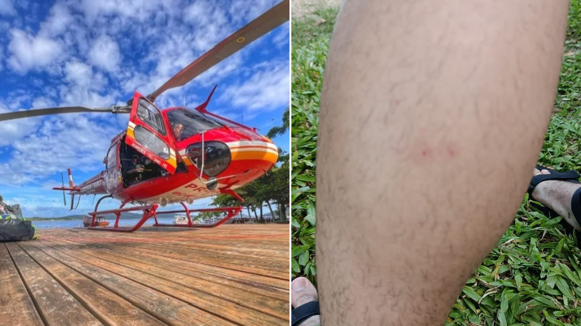 Picada misteriosa em trilha mobiliza helicóptero dos bombeiros em Florianópolis